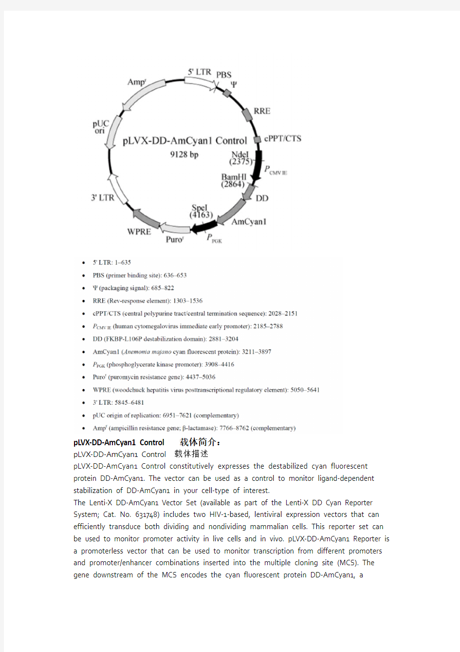 pLVX-DD-AmCyan1 Control慢病毒载体使用说明