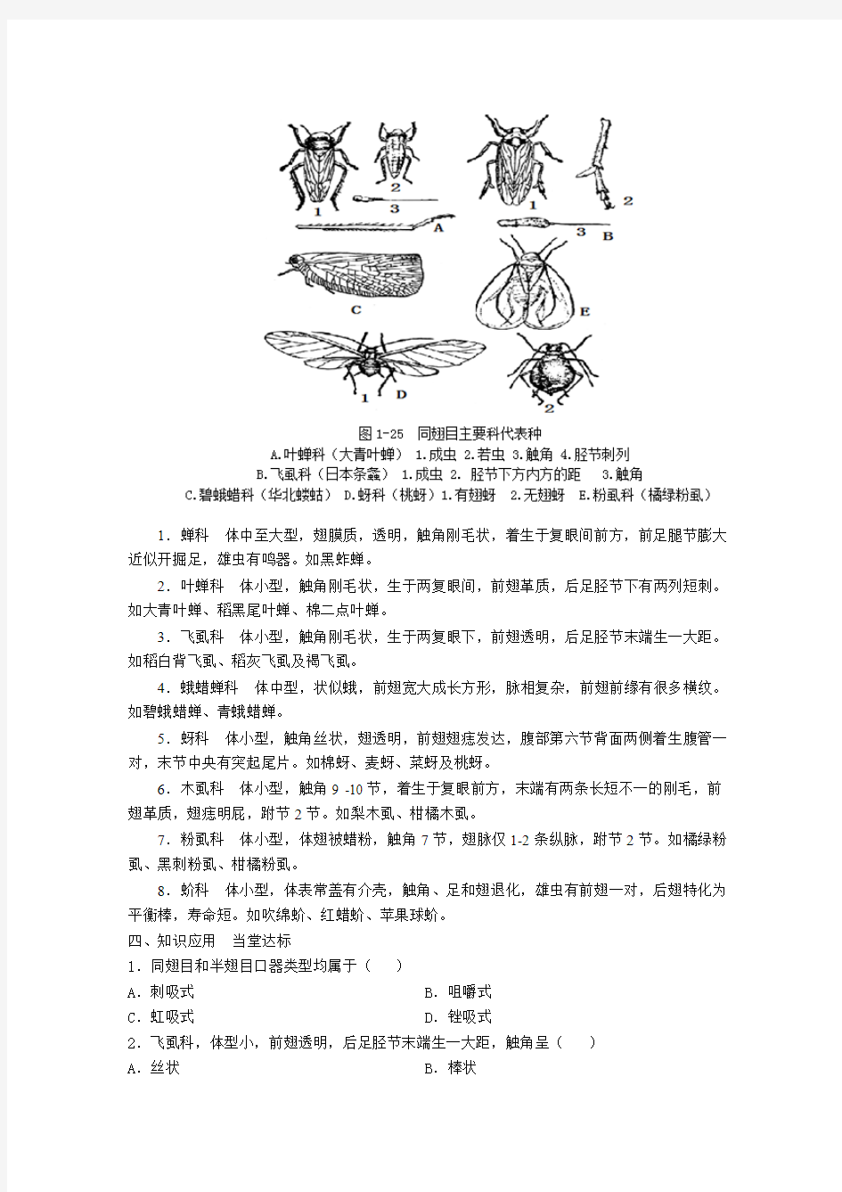 植物保护技术教案 016