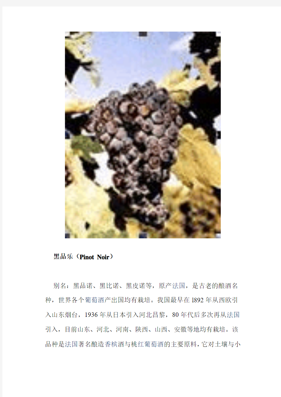 红白葡萄品种详解