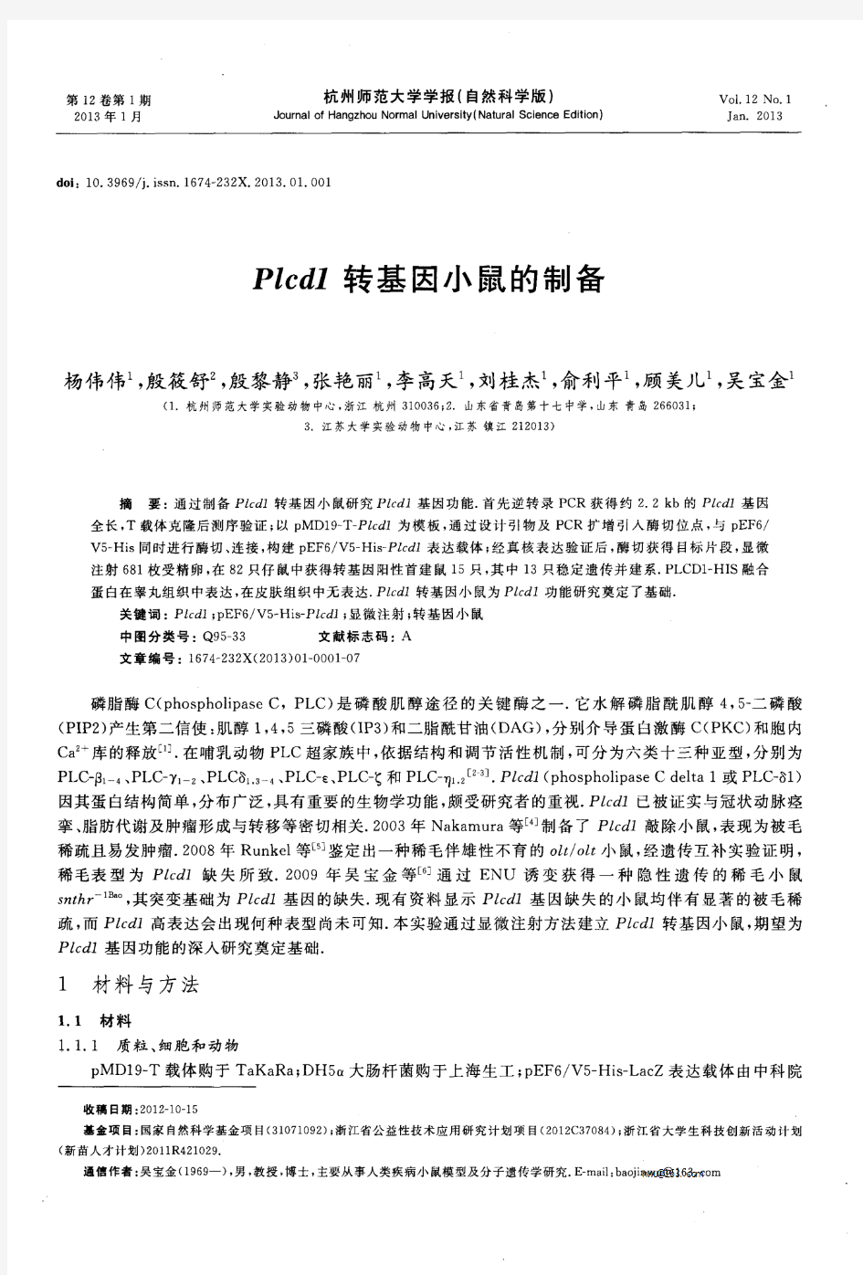 Plcd1转基因小鼠的制备