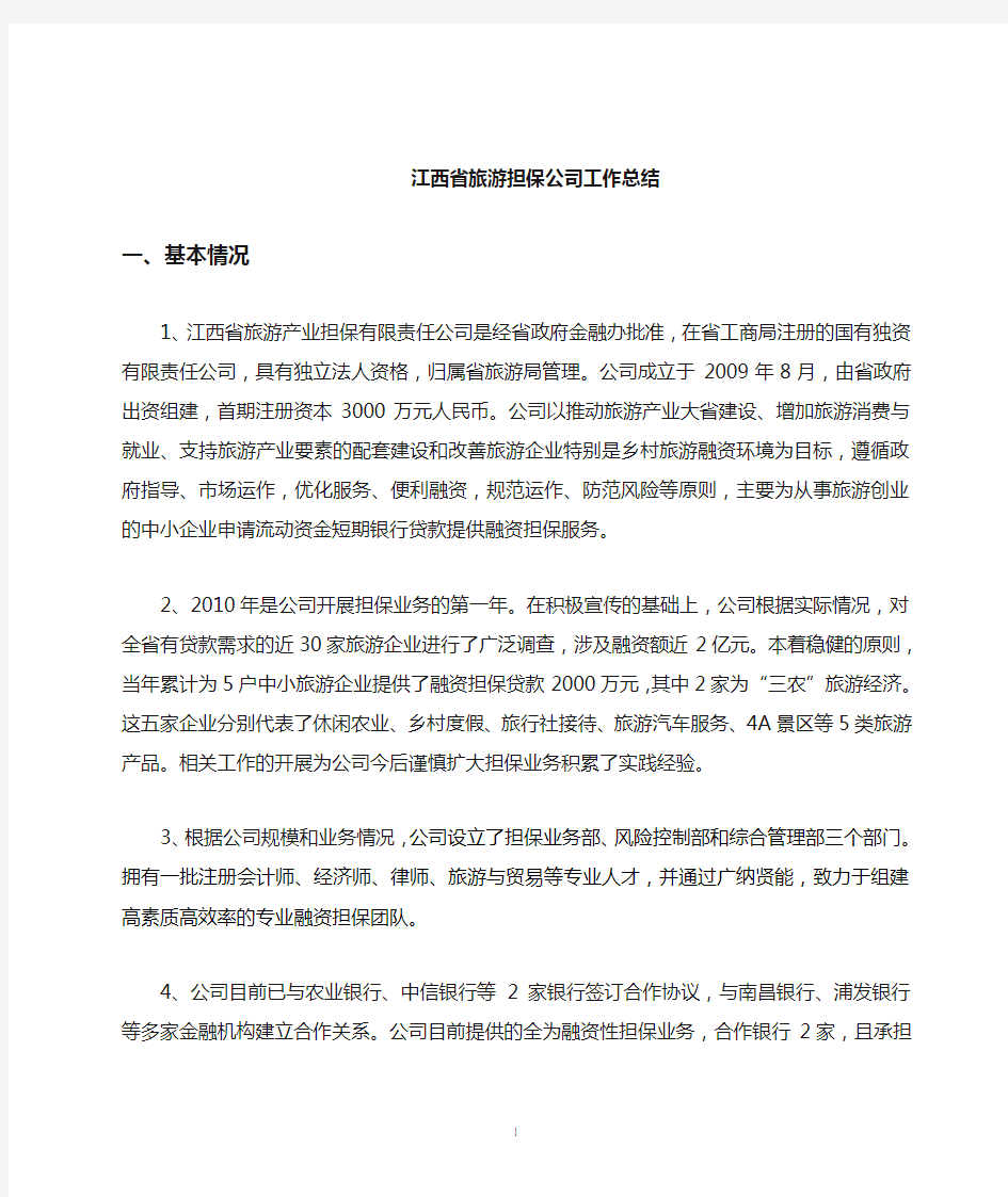 融资性担保公司年度工作总结(参考)