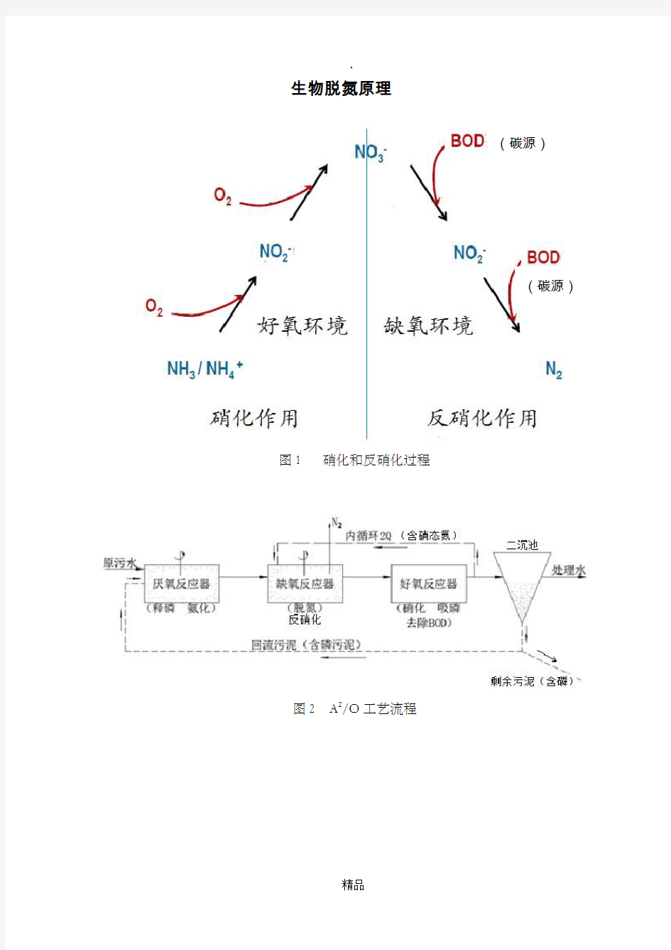 生物脱氮除磷原理