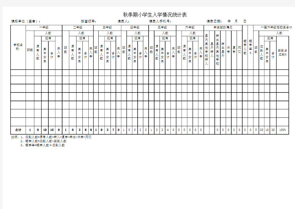 小学生入学情况统计表模板