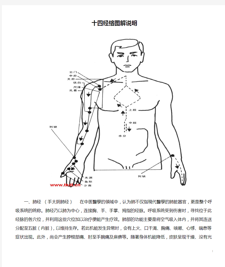 十四经络图解说明