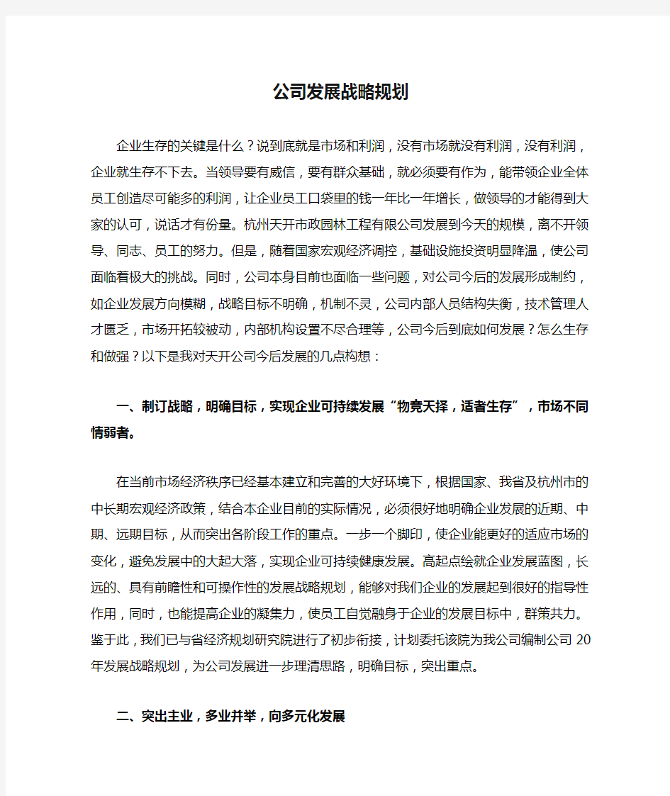 公司发展战略规划