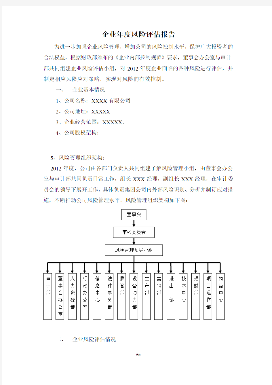 企业年度风险评估报告