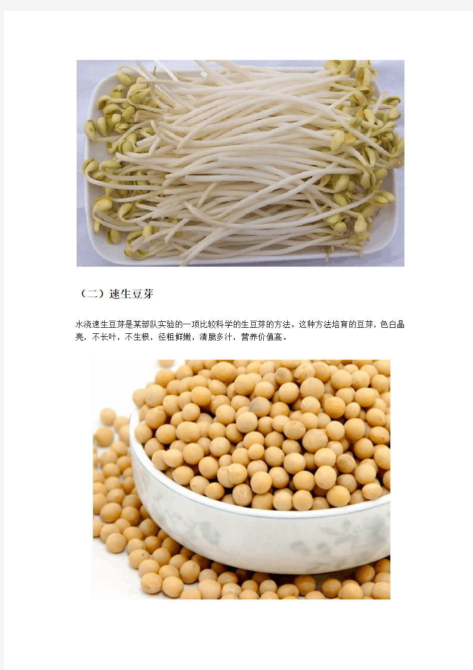 几种豆芽的生产方法
