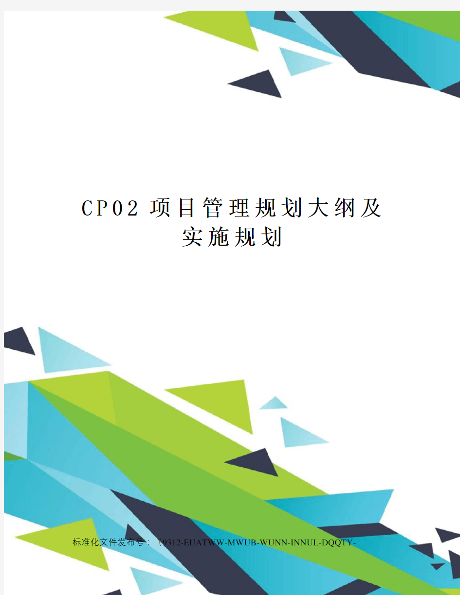 CP02项目管理规划大纲及实施规划