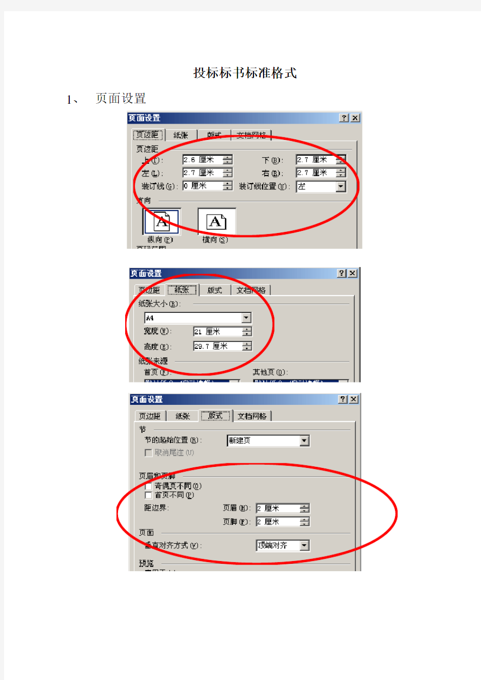 标书标准格式