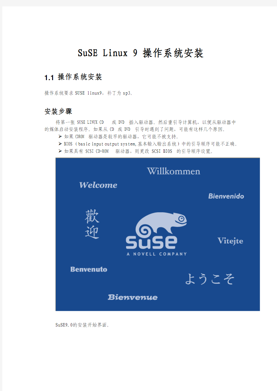 suse安装规范(suse linux)v1.0.2