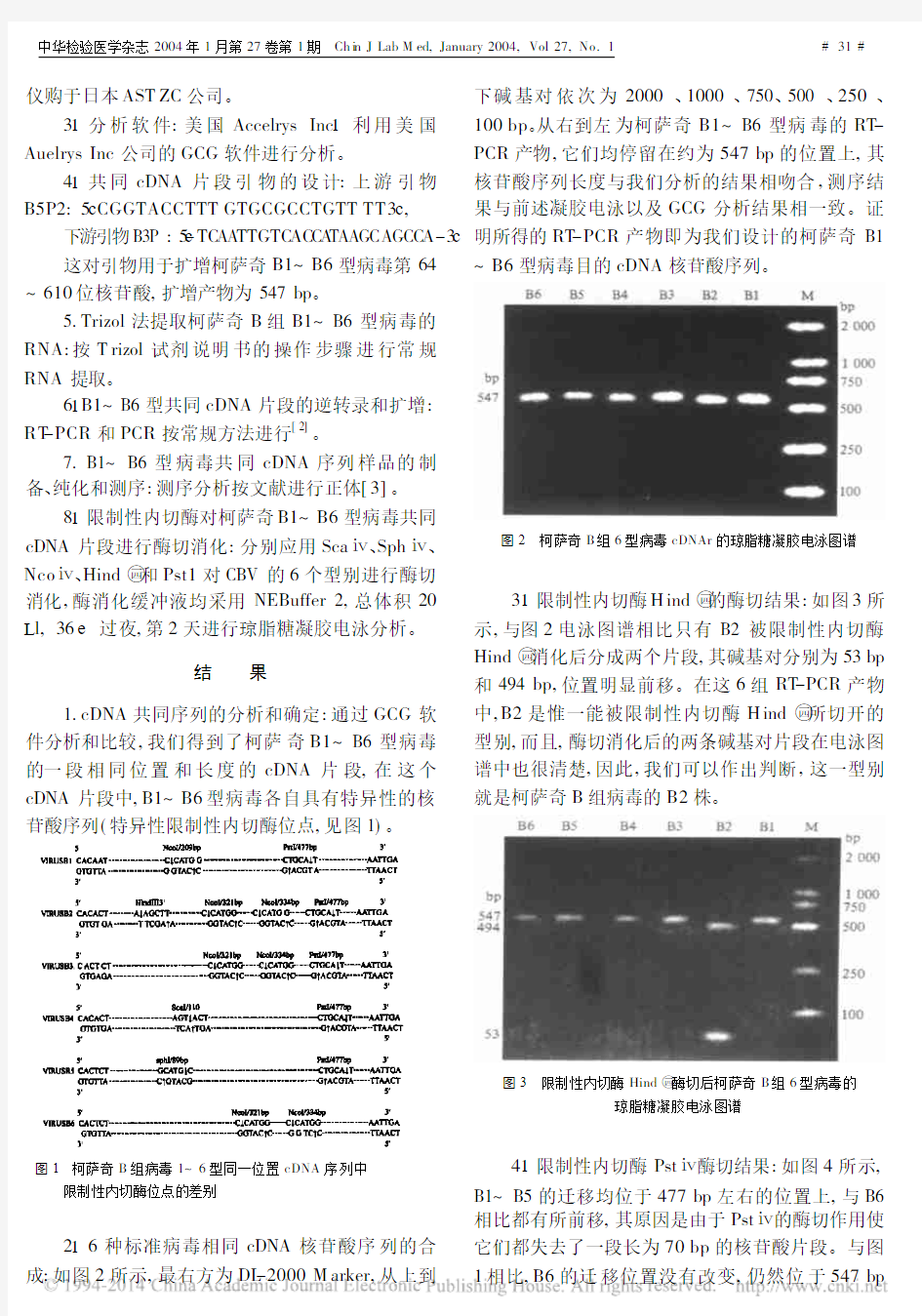 限制性内切酶分析法在柯萨奇B组病毒检测及分型中的应用_孙非