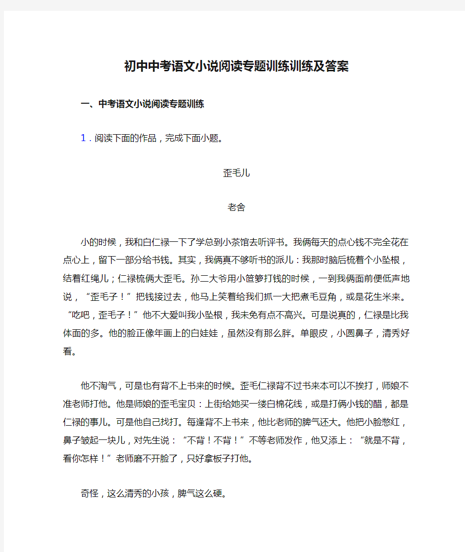 初中中考语文小说阅读专题训练训练及答案