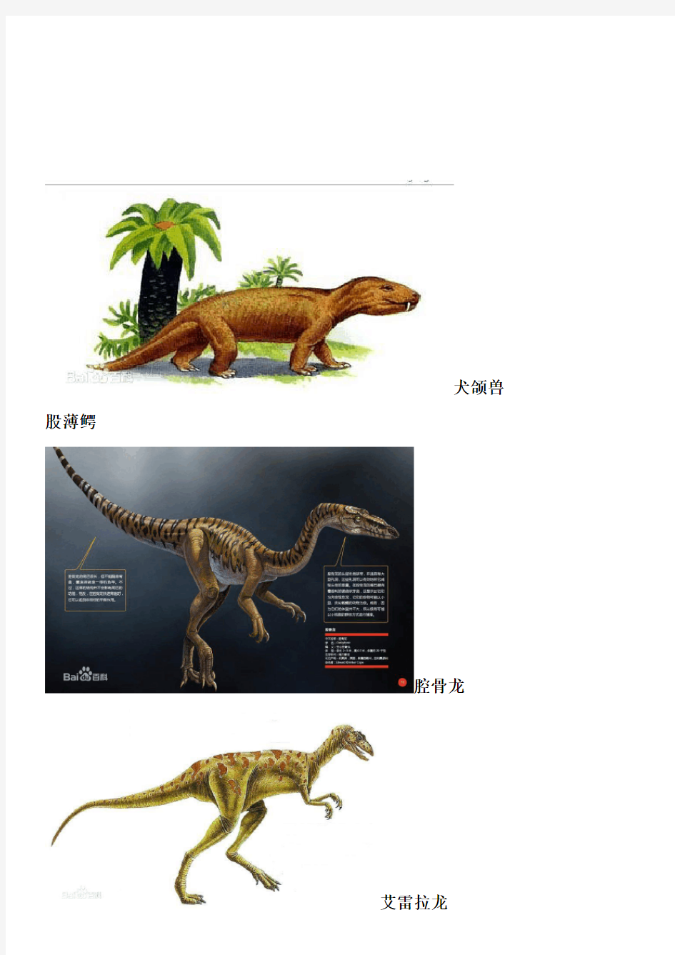全面恐龙名字以及图片-恐龙图集