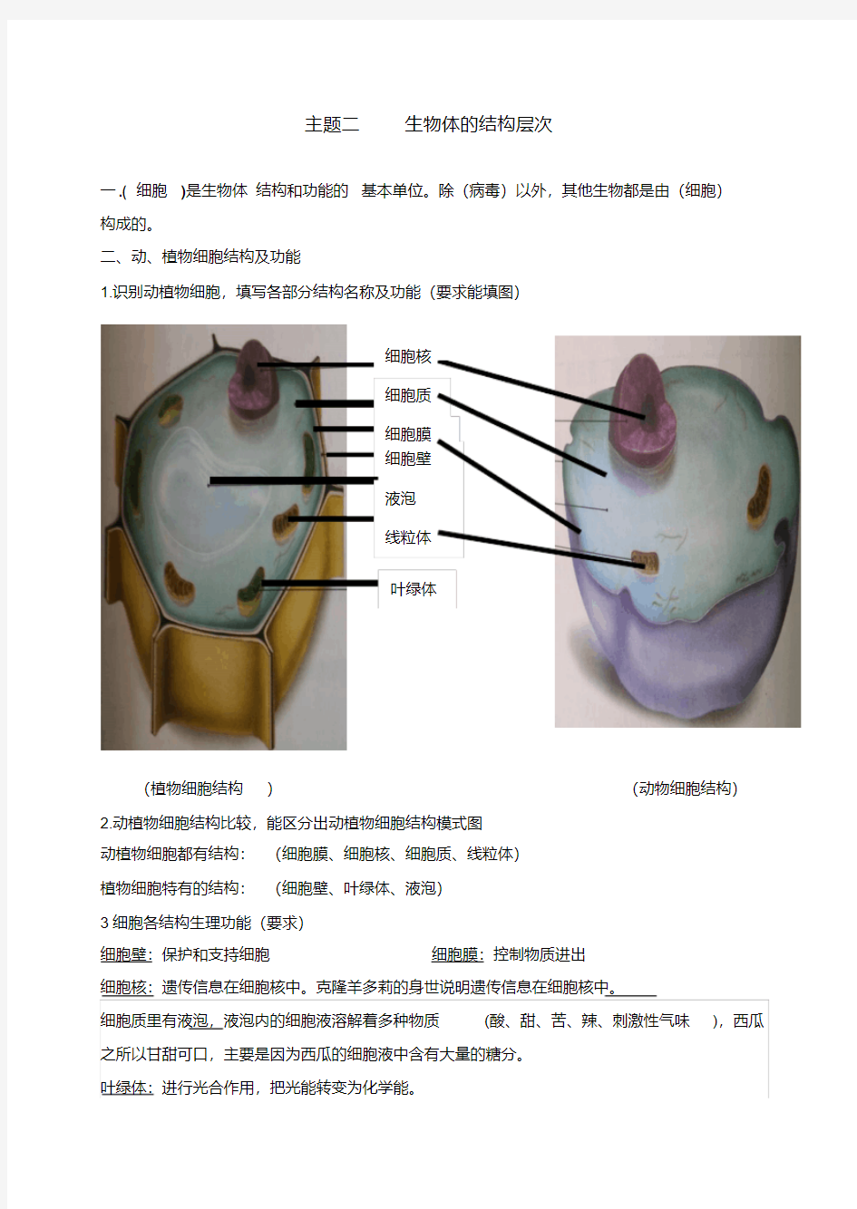 人教版初中生物知识点归纳总结