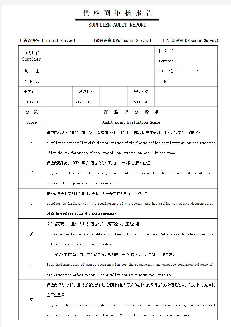 供应商审核报告