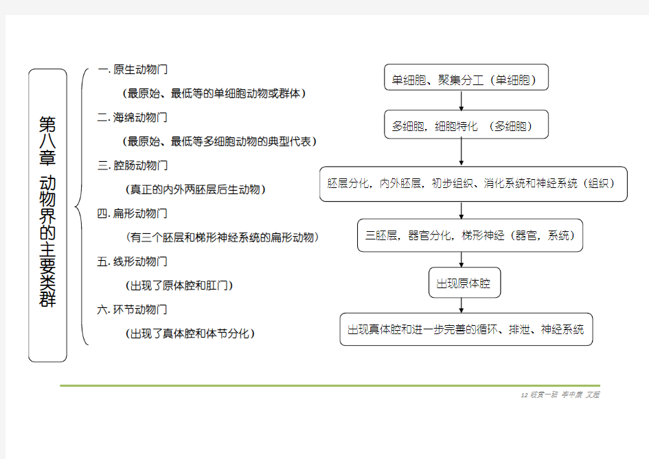 动物界的主要类群