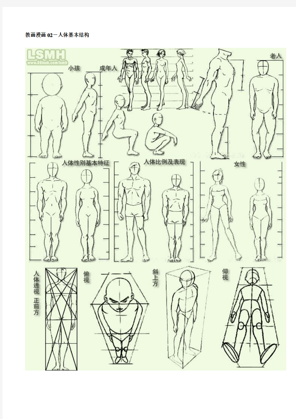 教画漫画02-人体基本结构
