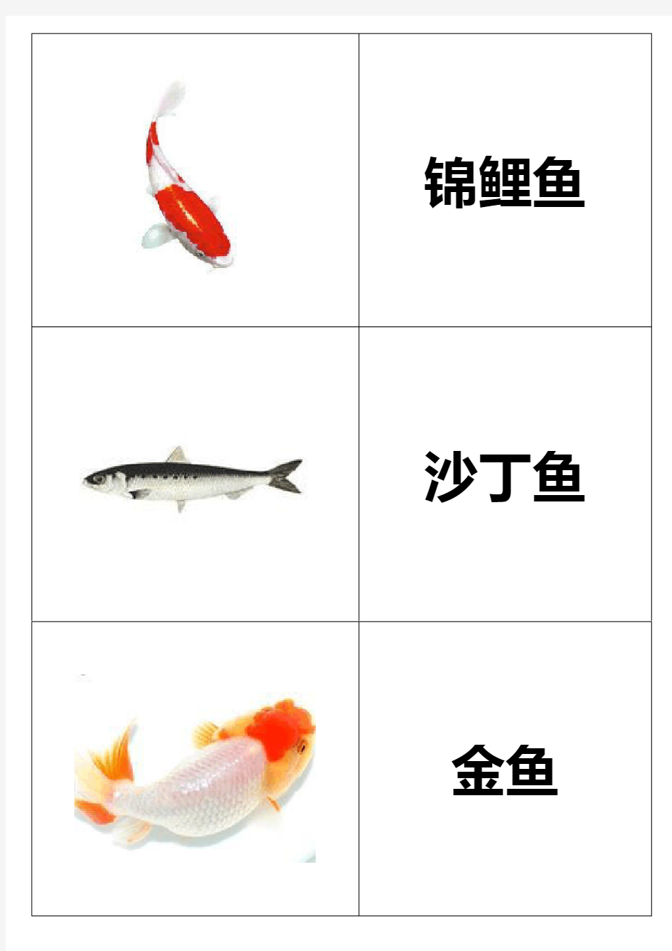 幼儿识字卡片配图：鱼类