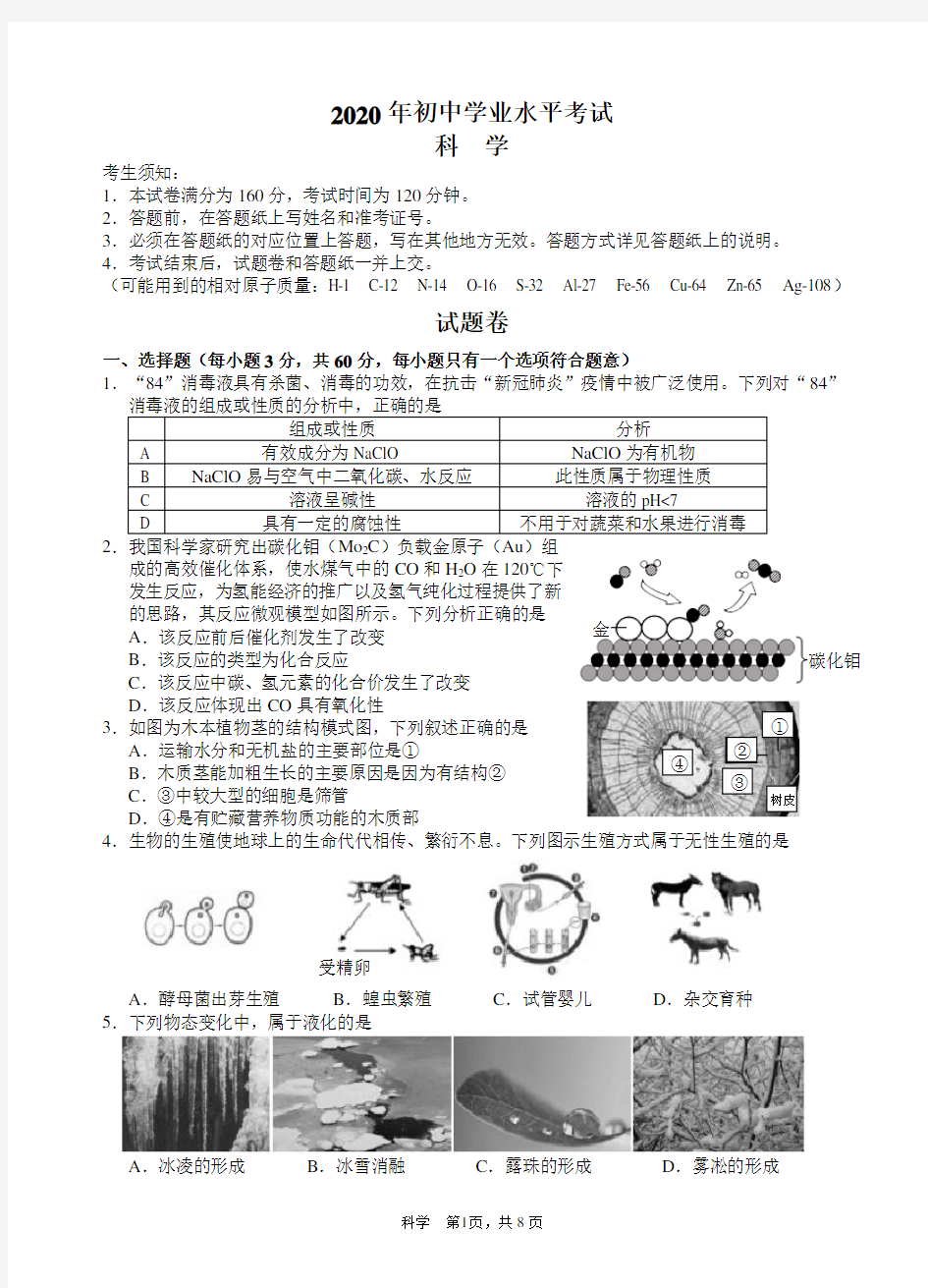 2020年浙江省杭州市下城区一模试卷