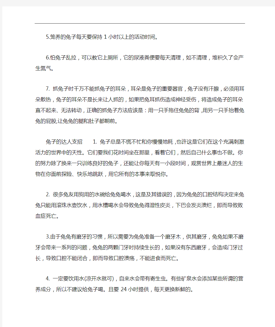 兔子饲养管理方法