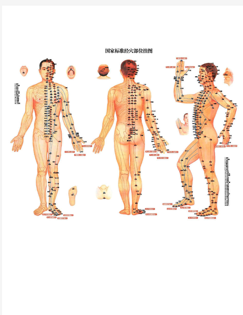 人体穴位全面高清大图