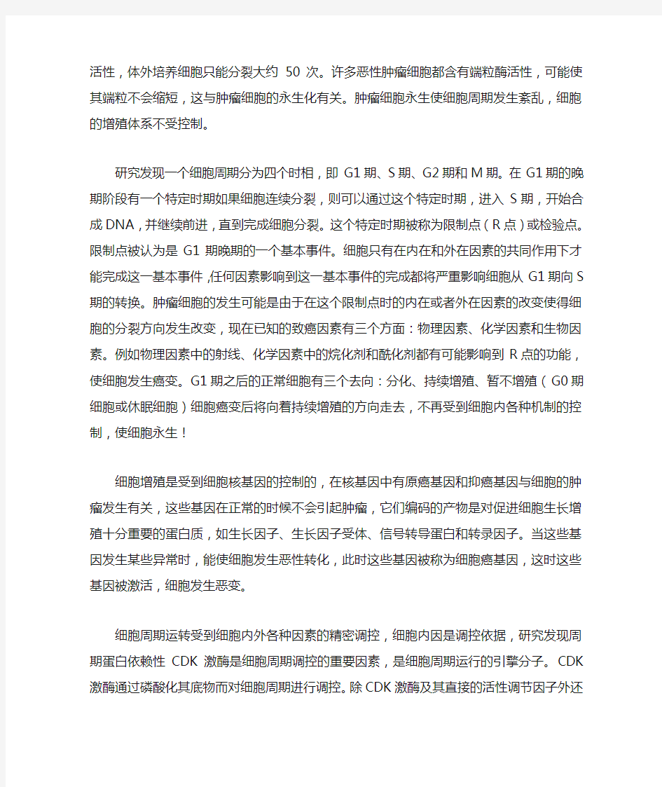 细胞周期与肿瘤增殖的关系