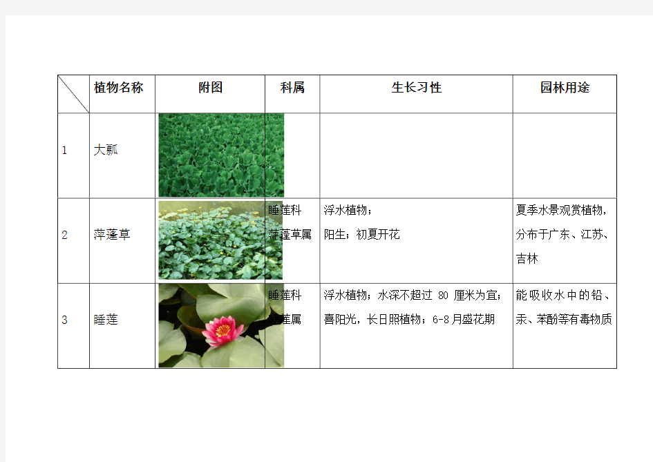 常用水生植物