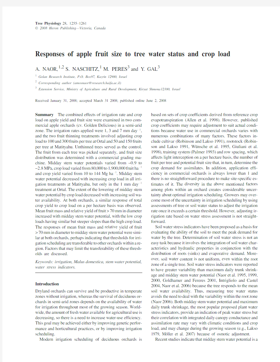 Responses of Apple Fruit size to tree Water Status and crop load - A. Naor