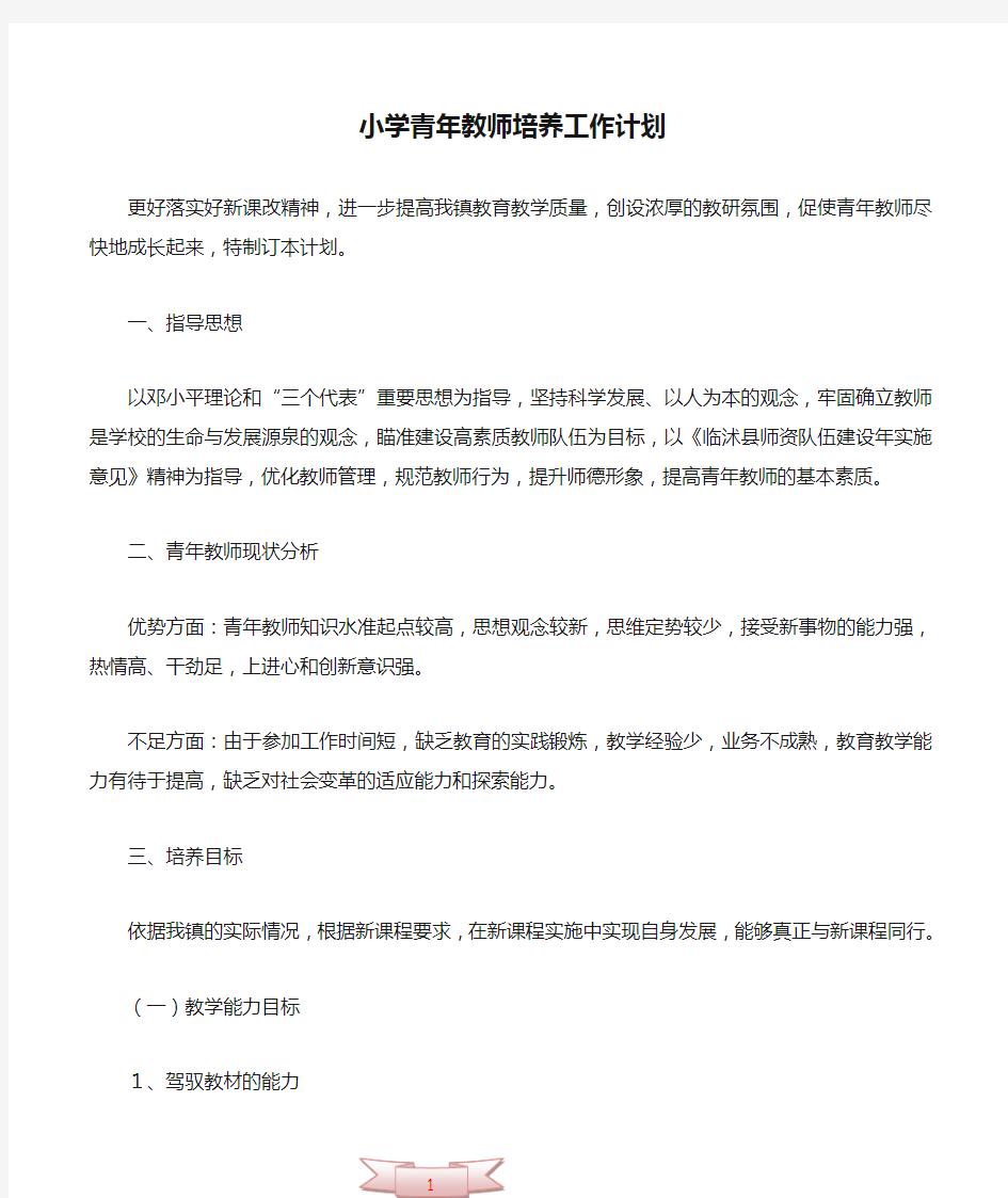 小学青年教师培养工作计划