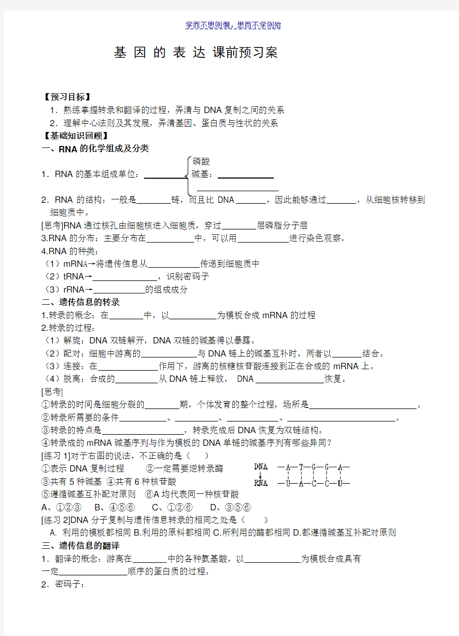 基因的表达学案及答案