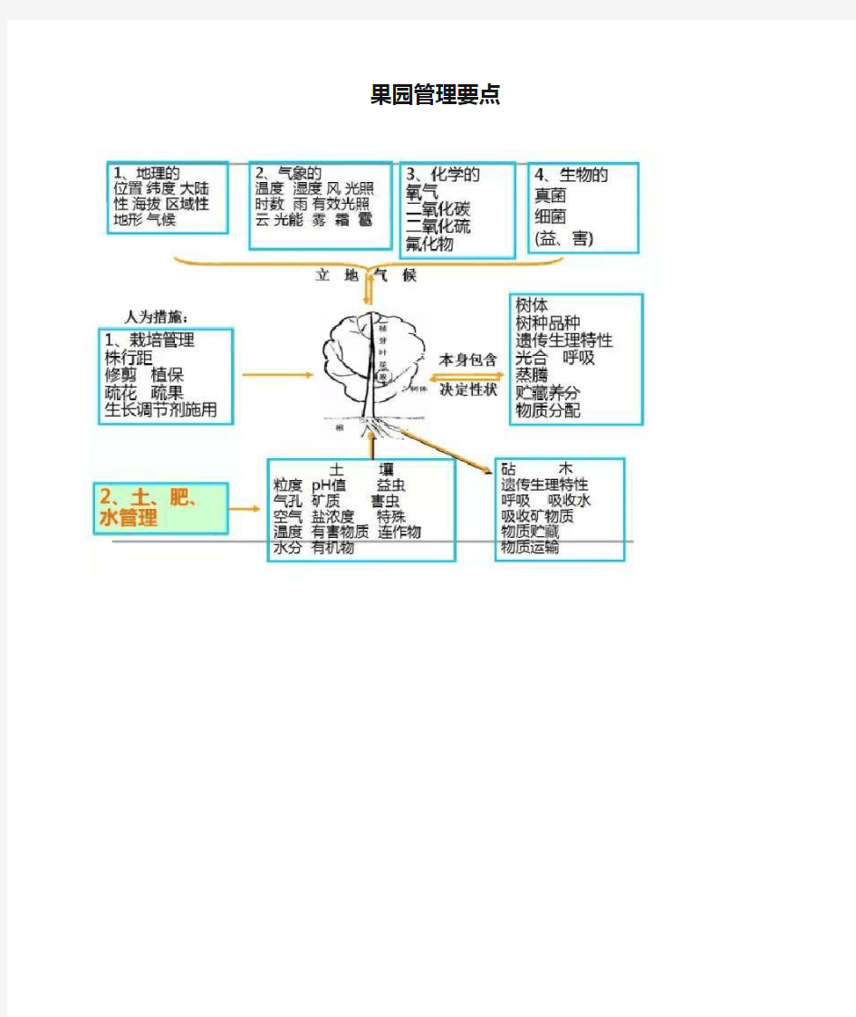 果园管理要点