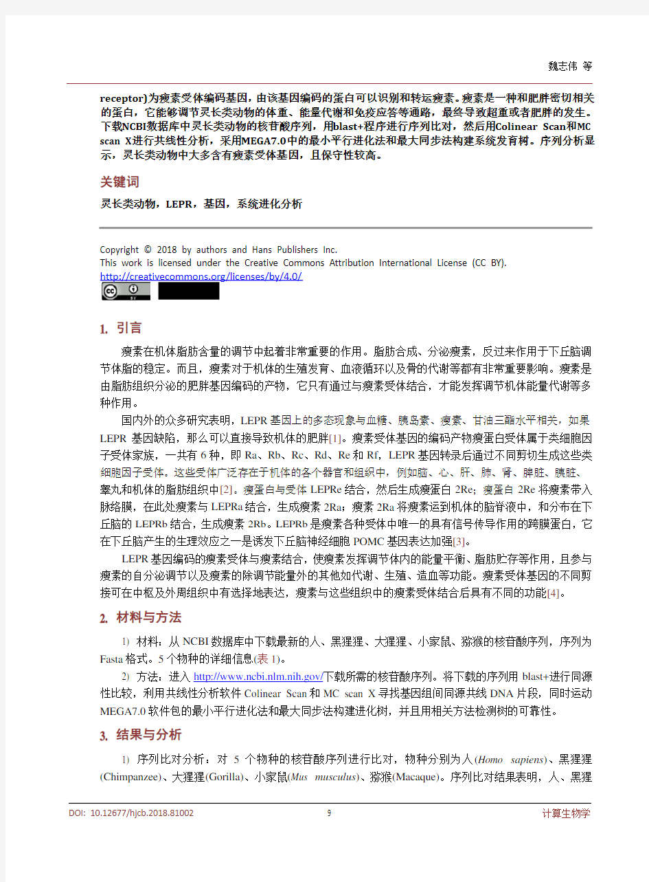 瘦素受体基因(LEPR)的系统发育分析