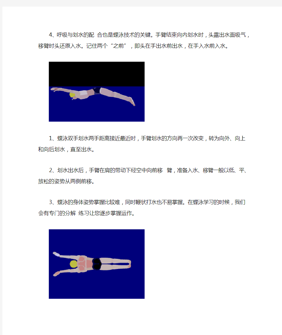 四种游泳姿势的动画图解