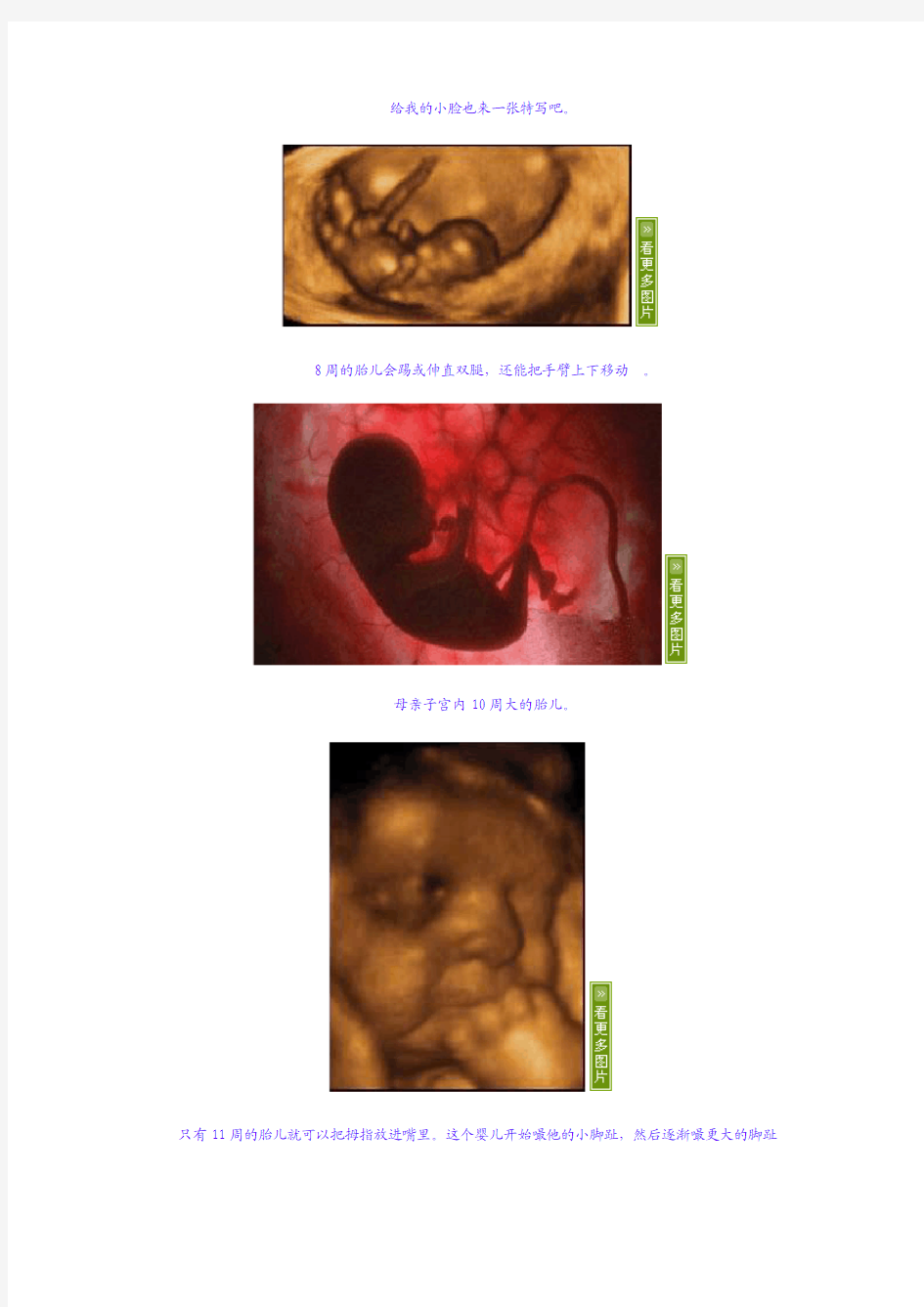 胎儿在子宫的成长过程(图)