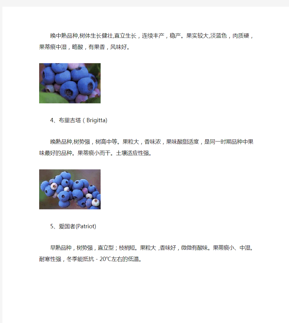 蓝莓品种简介