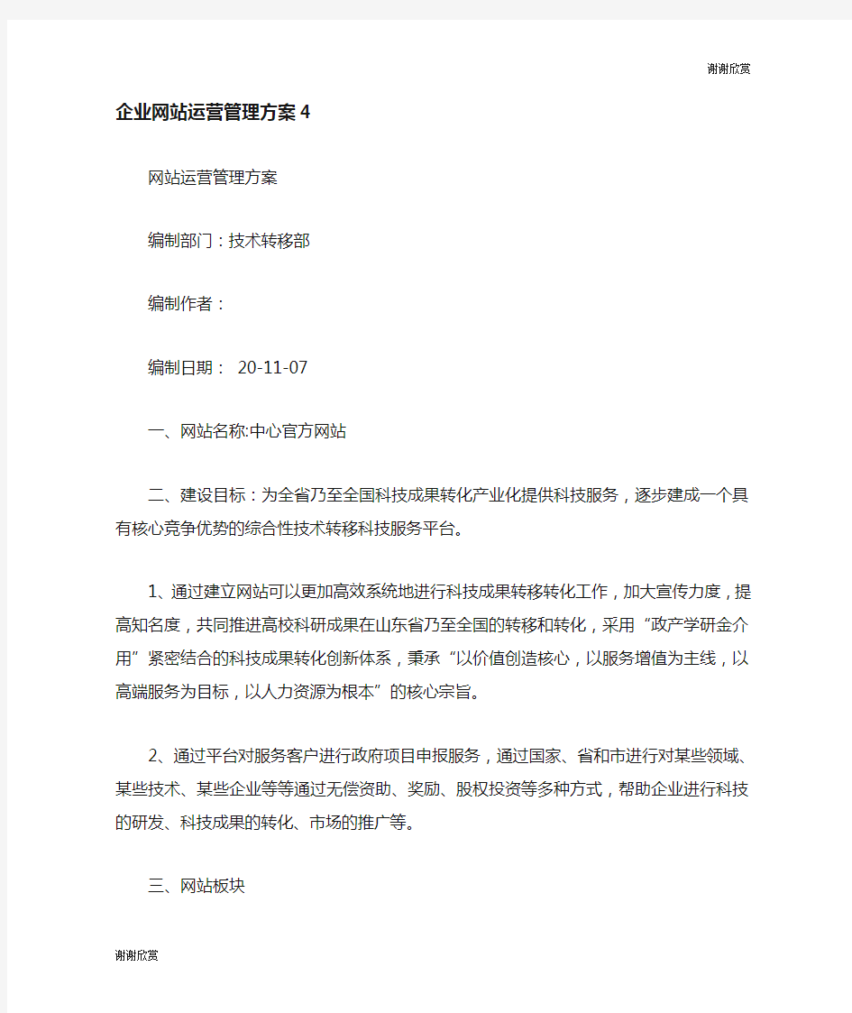 企业网站运营管理方案.doc