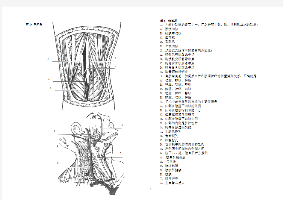 2009-2010学年第一学期局部解剖学期末考试试题