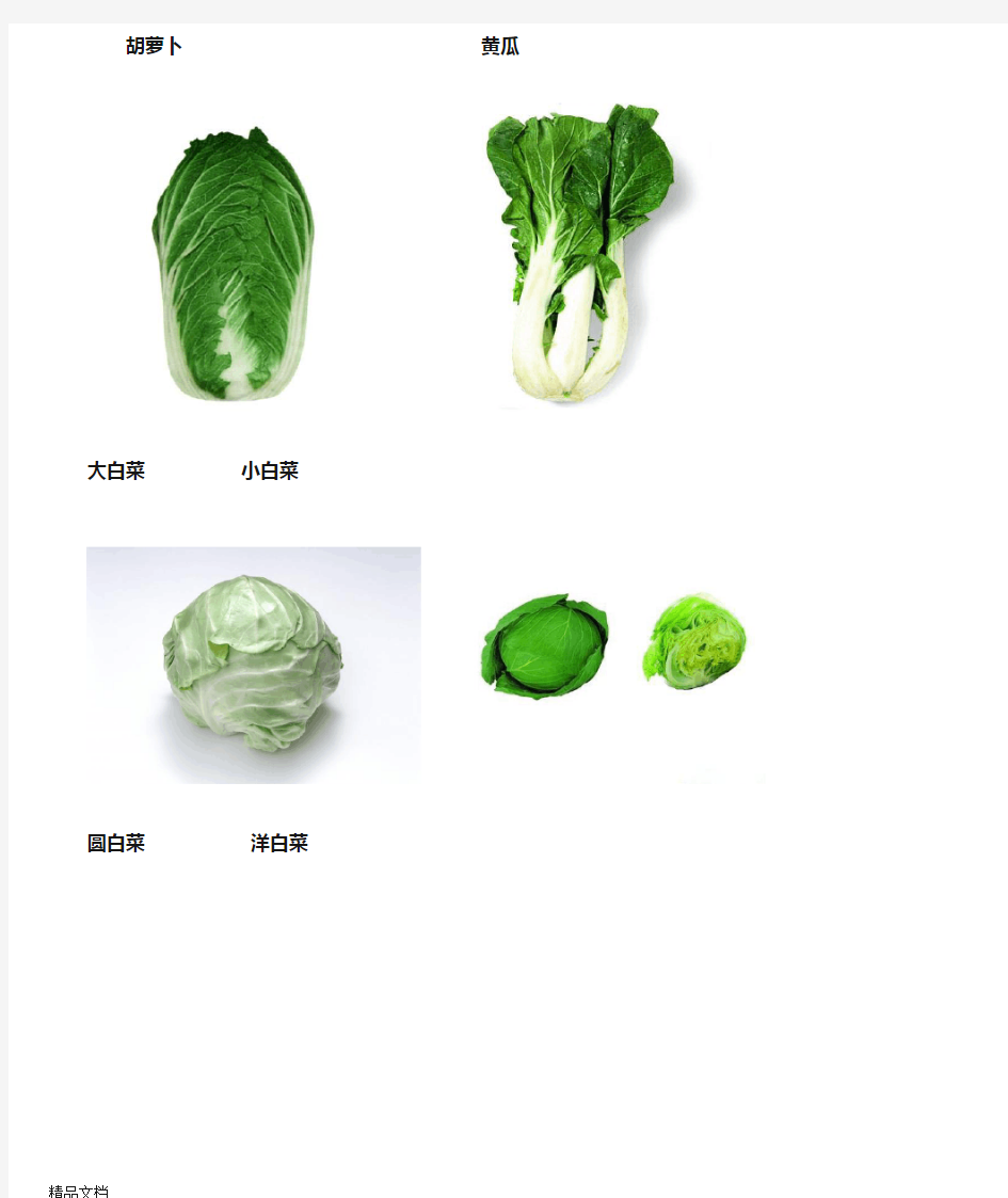 最新各种蔬菜图片总汇资料