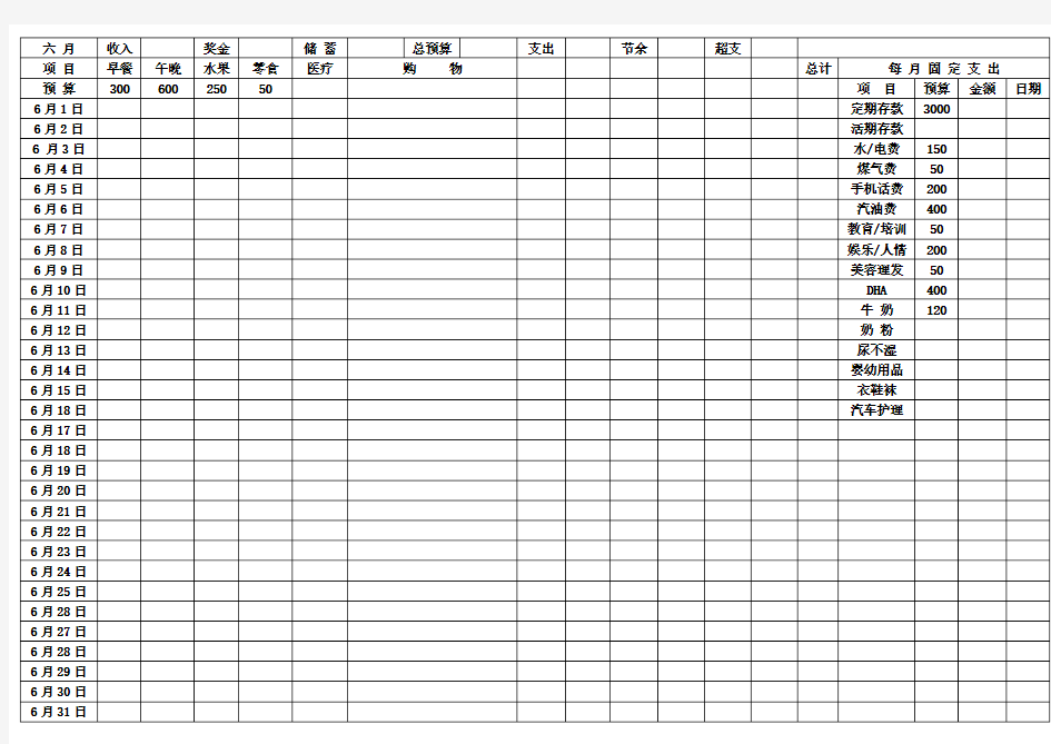 家庭月收支明细表