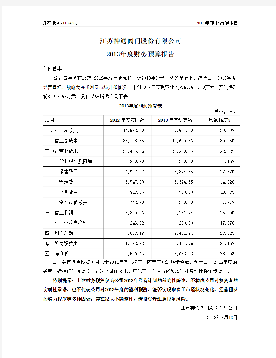 2013年度财务预算报告