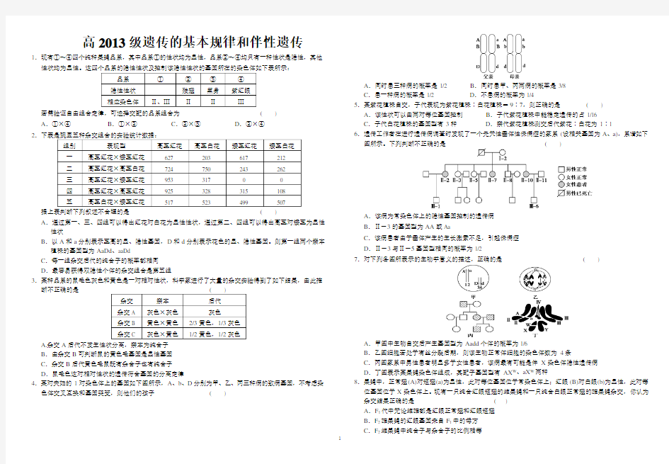 遗传的基本规律和伴性遗传