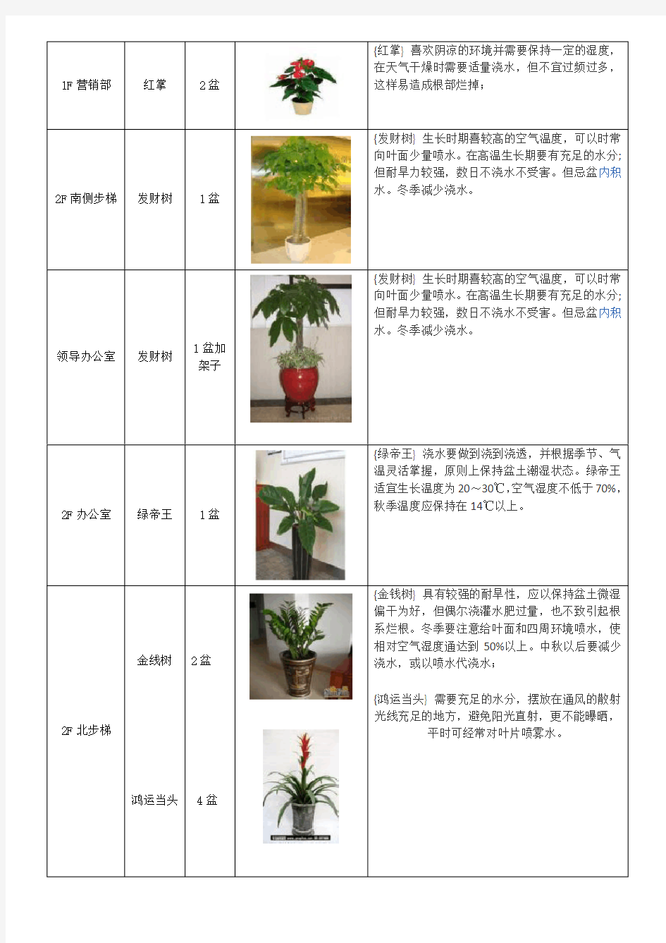 营销中心绿植租摆养护方案