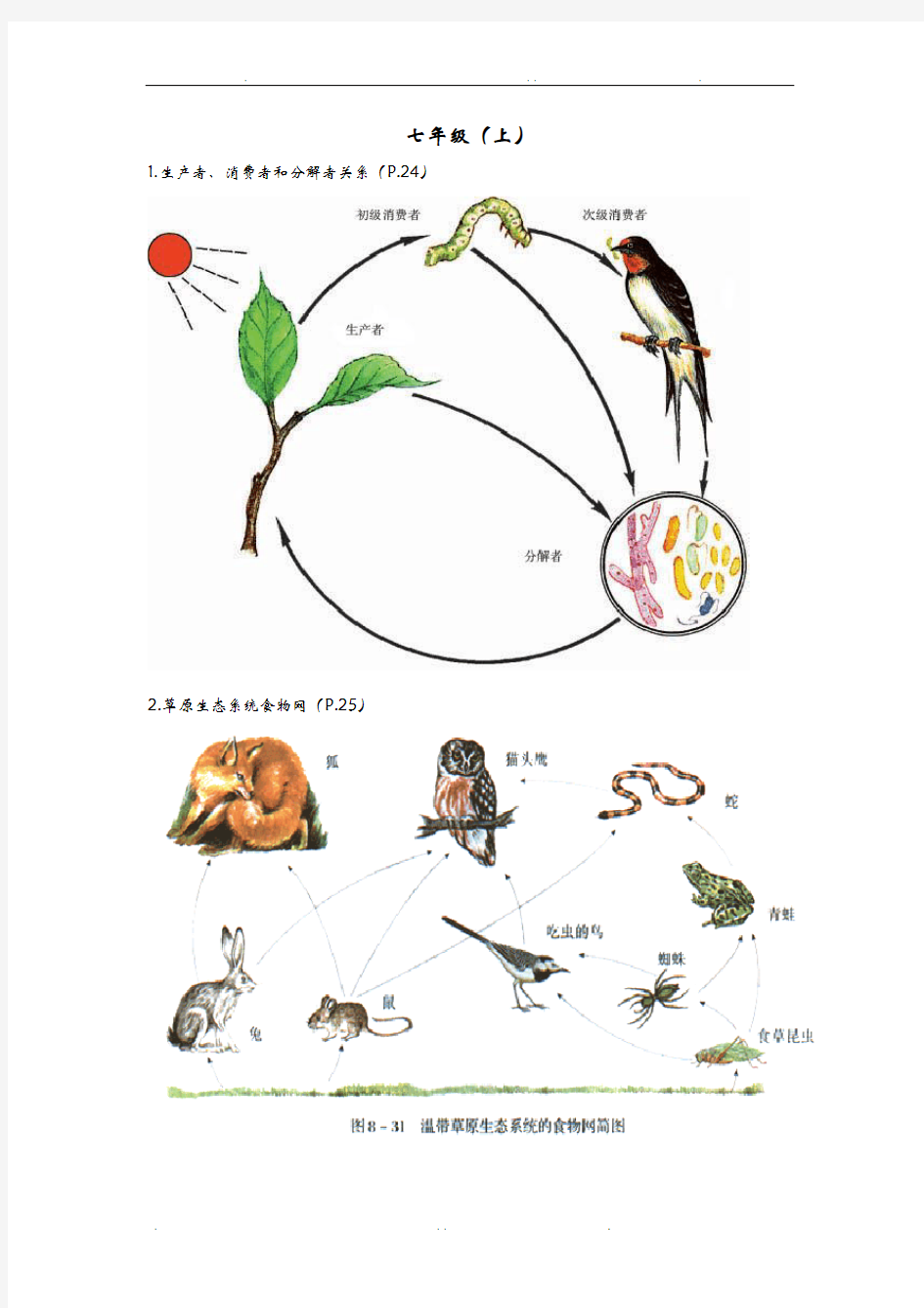 初中生物课本上的图