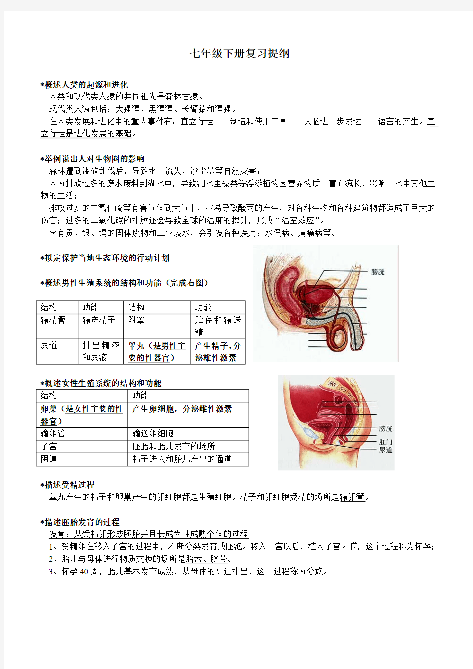 人教版生物七年级下册复习提纲