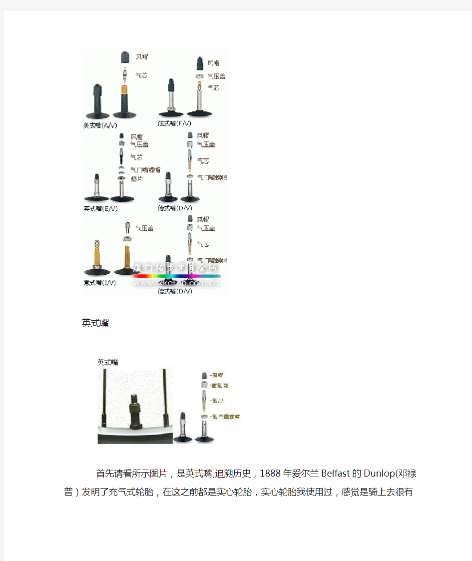 各类自行车气嘴分类