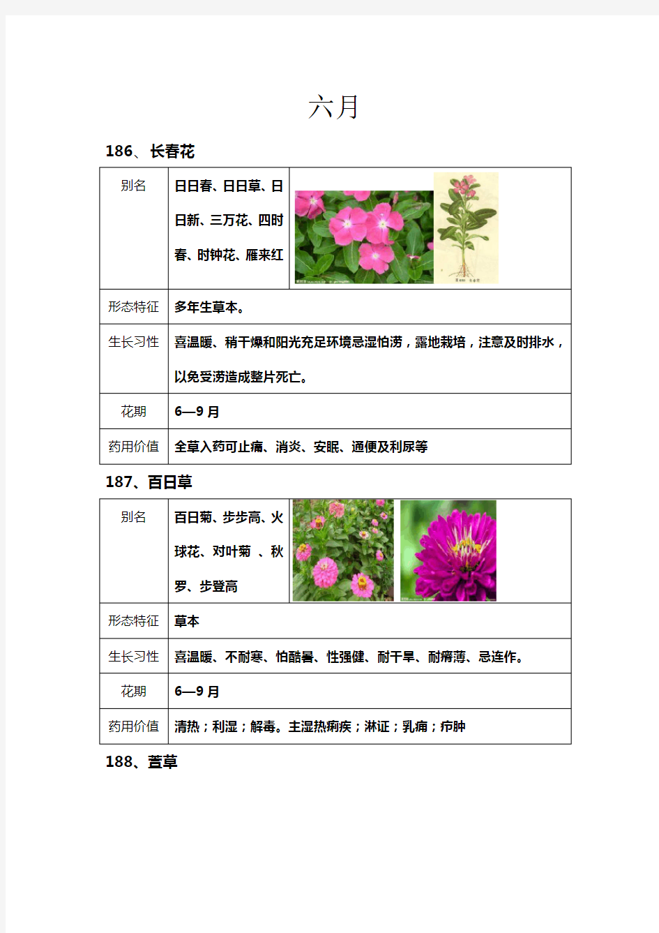 12月各月开花植物6