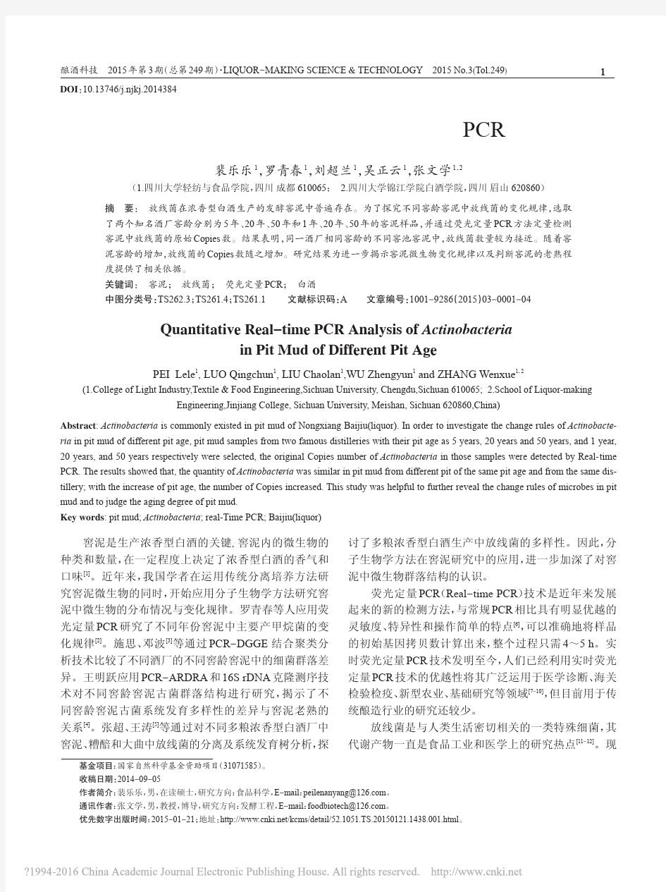 不同窖龄窖泥中放线菌的荧光定量PCR研究_裴乐乐