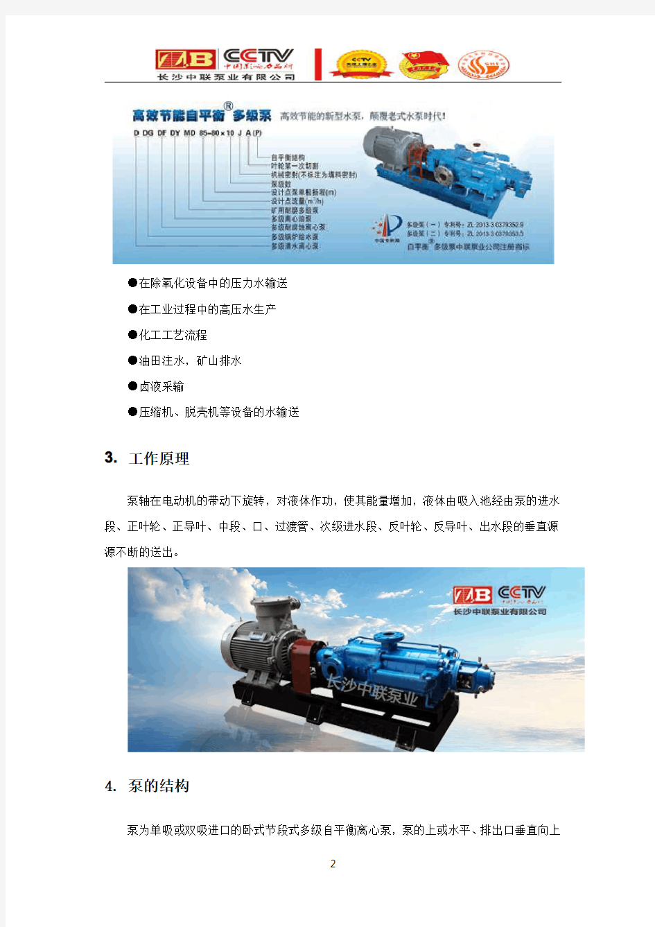 DY12-25x10(P)自平衡多级油泵