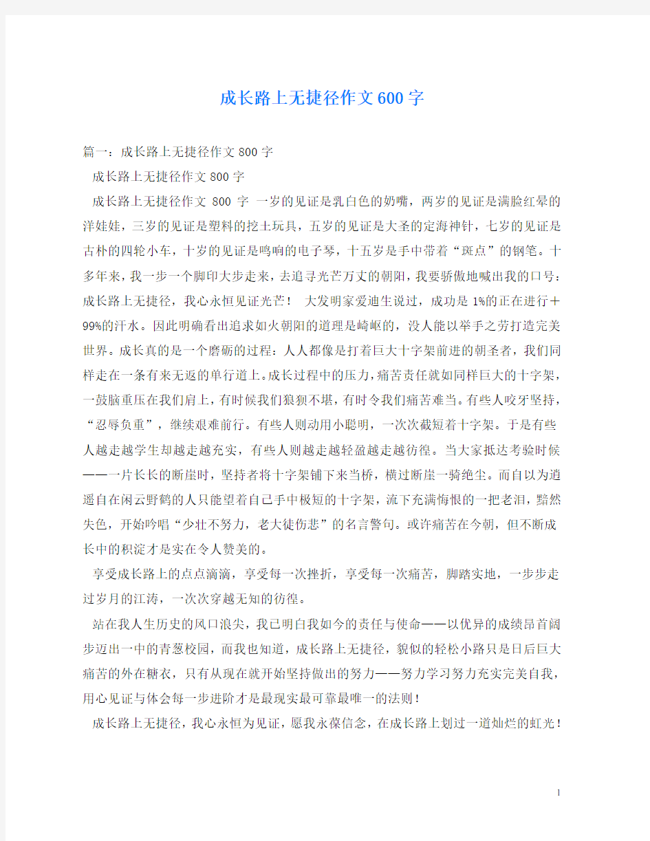 成长路上无捷径作文600字