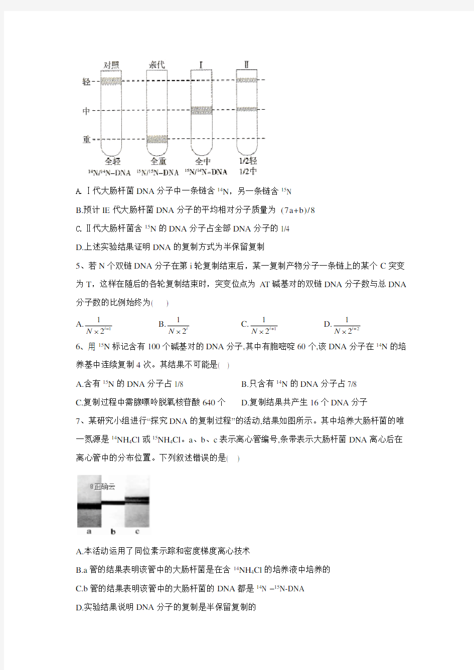 2019-2020学年高中生物人教版(2019)必修二同步学典：3.3DNA的复制 Word版含答案